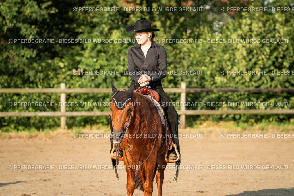 DSC06317 | Pferdegrafie