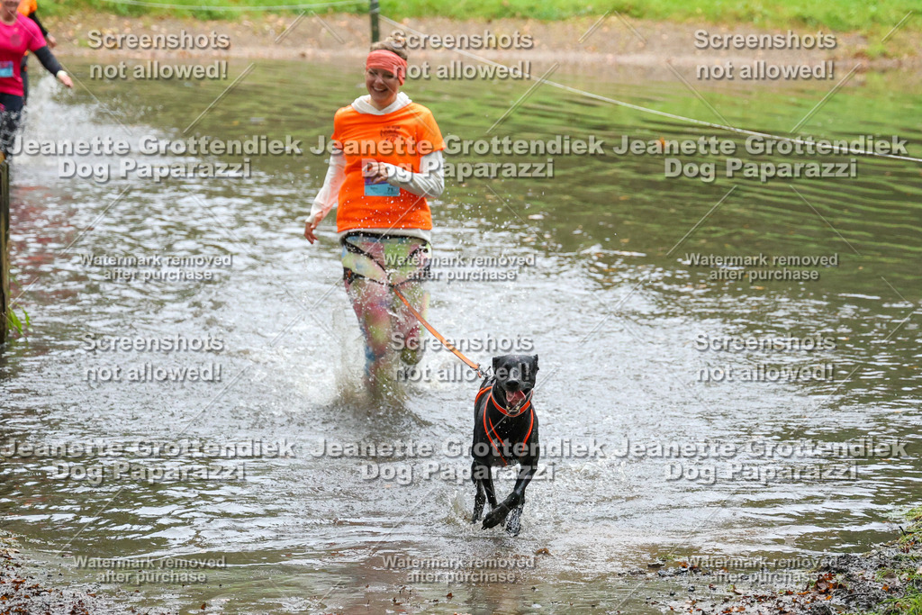 Dog Paparazzi -  SD1026-8235 | Dog Paparazzi Jeanette Grottendiek Fotografie & Videografie - Realisiert mit Pictrs.com