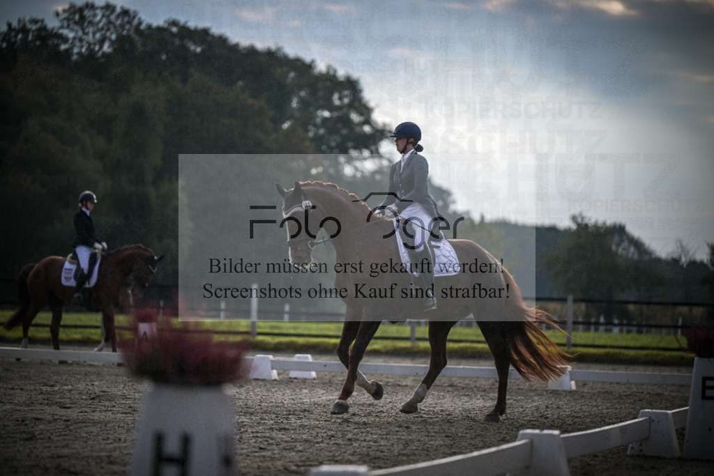 DOS_3018 | Entdecke hochwertige Reitturnierfotos von Foto Oger. Professionell, emotional und authentisch – jetzt Lieblingsmomente im Shop bestellen.Deutschlandweite Turnierfotografie. - Realisiert mit Pictrs.com