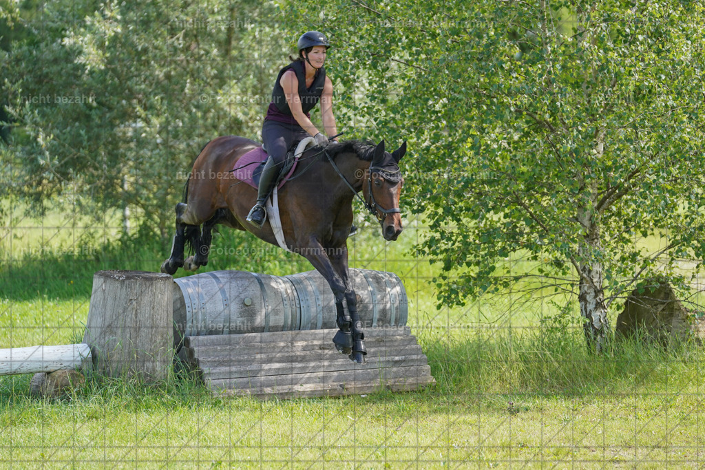 20240622-FAH07829 | Turnierfotografen Bayern, Reitsportbilder aus dem Geländekurs mit Felix Etzel auf dem Gut Waitzacker 2024