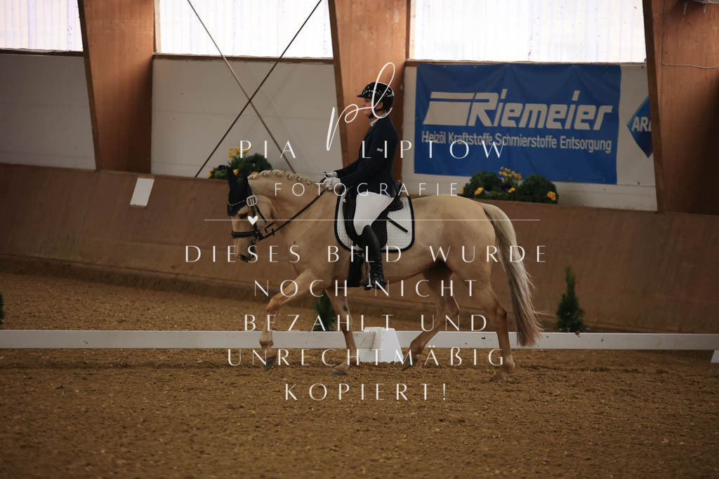 IMGT0047 | pl-fotografie