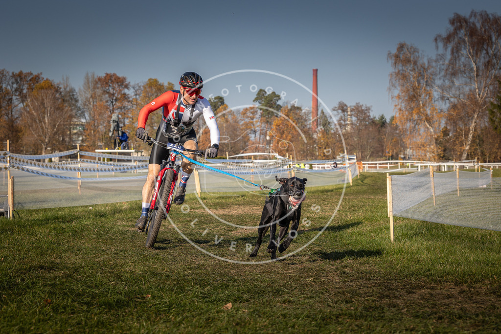 CaniXpix_0L8A7961 | Hundefotografie, Tierfotograf, Pfotenfotografie, Fotoshooting Hund, Hunde Portrait, Hundesport, Hundeportraits, Heideshooting, Hunde, Sportfotograf, Hundefotograf, Turnierhundsport, THS,  - Realisiert mit Pictrs.com