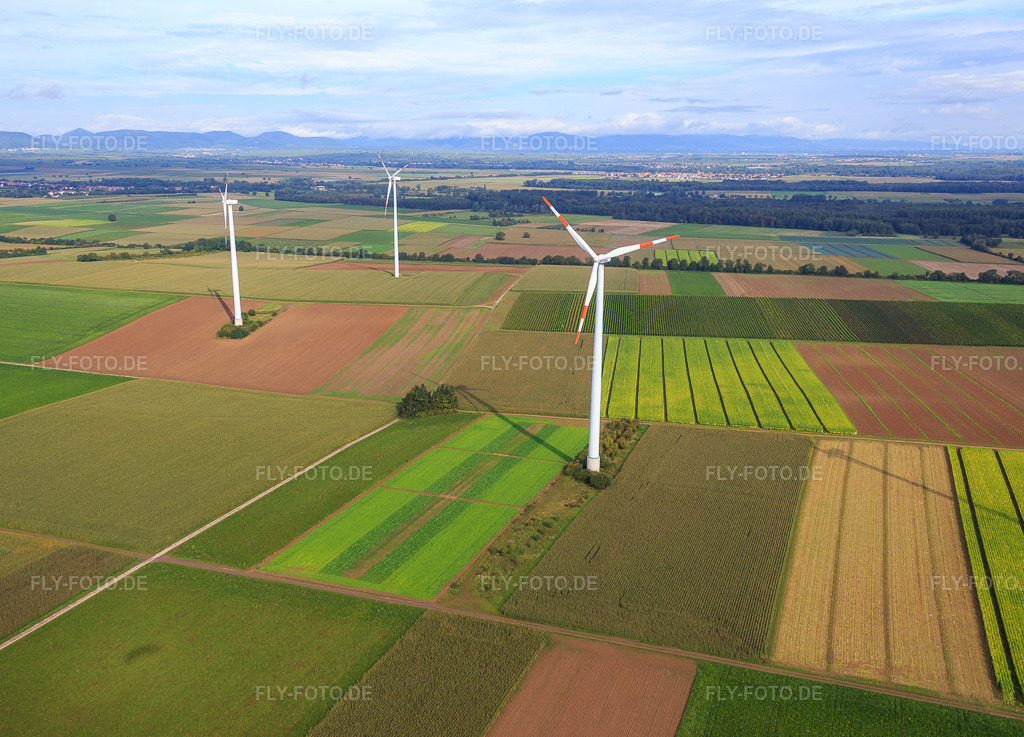 Luftbild: Windpark in Minfeld im Bundesland Rheinland-Pfalz in Deutschland. Foto: IMG_072516.jpg vom 19.09.2014 durch Werner Riehm/FLY-FOTO.de