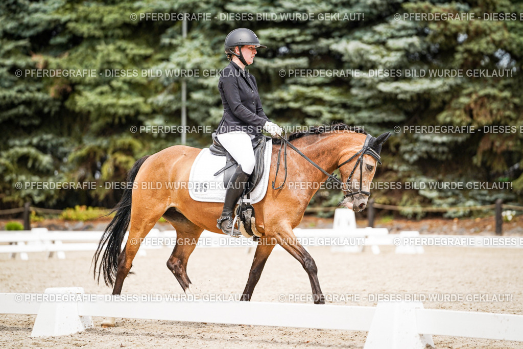 DSC04434 | Pferdegrafie