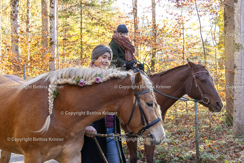 LL24-368 | foto-bettina-krinner - Realisiert mit Pictrs.com