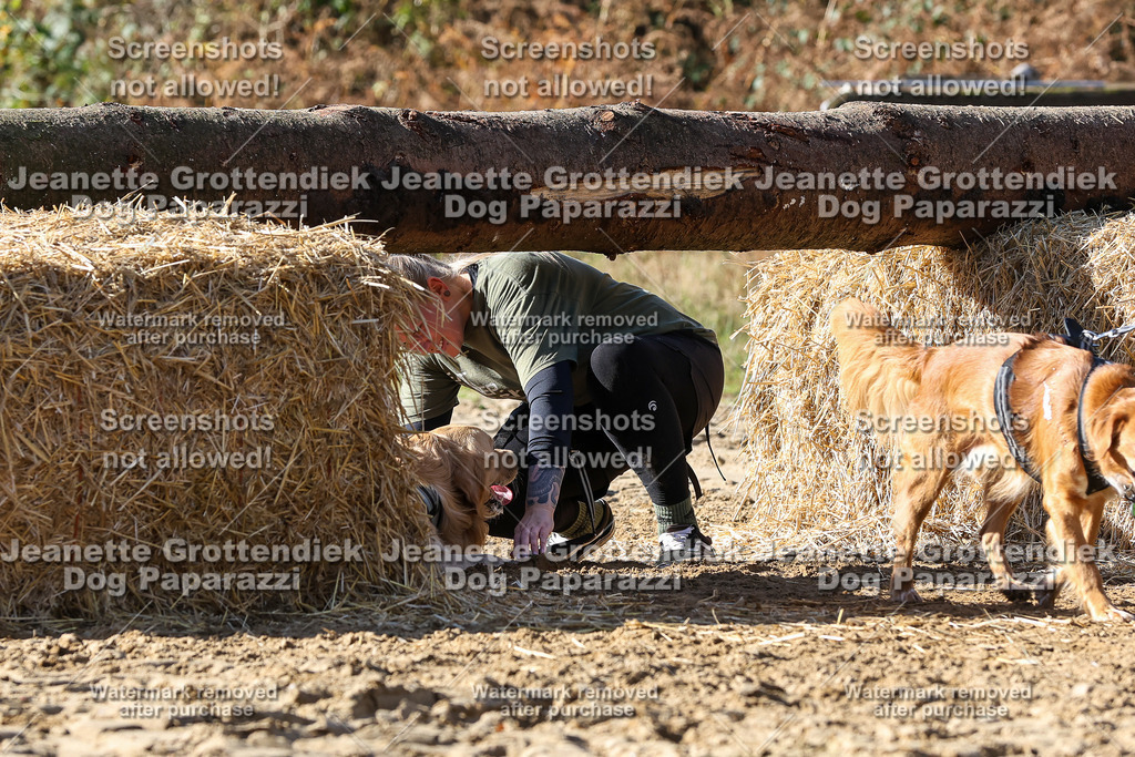 Dog Paparazzi - Strongdog 10-25-4783 | Dog Paparazzi Jeanette Grottendiek Fotografie & Videografie - Realisiert mit Pictrs.com