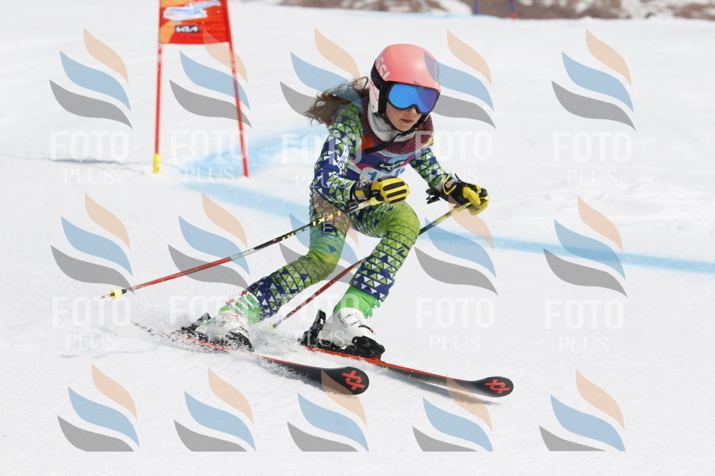 _U3G1811 | holidayphoto