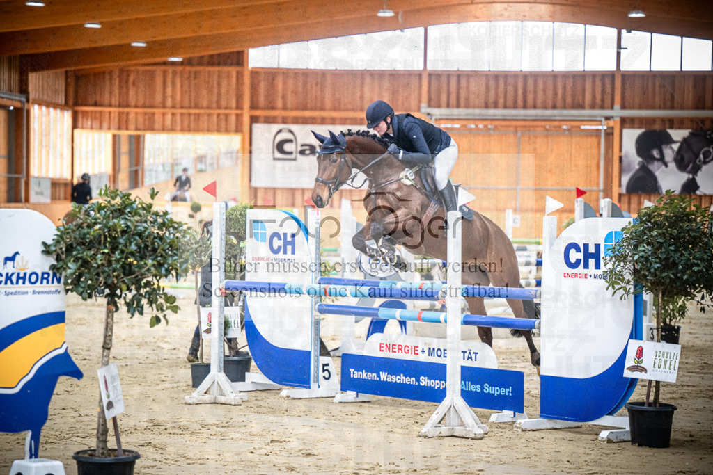 DOS_0190 | Entdecke hochwertige Reitturnierfotos von Foto Oger. Professionell, emotional und authentisch – jetzt Lieblingsmomente im Shop bestellen.Deutschlandweite Turnierfotografie. - Realisiert mit Pictrs.com