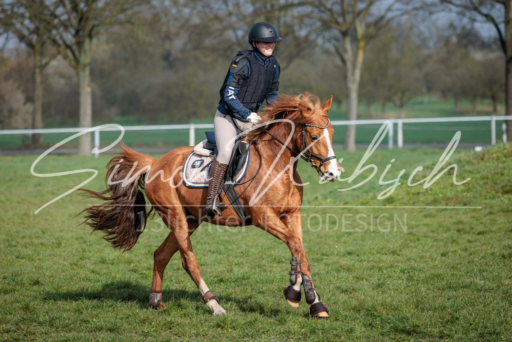 20260329-_3LI3351 | Tierfotografie Pferde, Hunde, Katzen, Haustiere.
Turnierfotografie Reitturniere, Reiten, Springreiten, Dressur in Hanau, dem Main-Kinzig-Kreis und dem Rhein-Main- Gebiet um Frankfurt