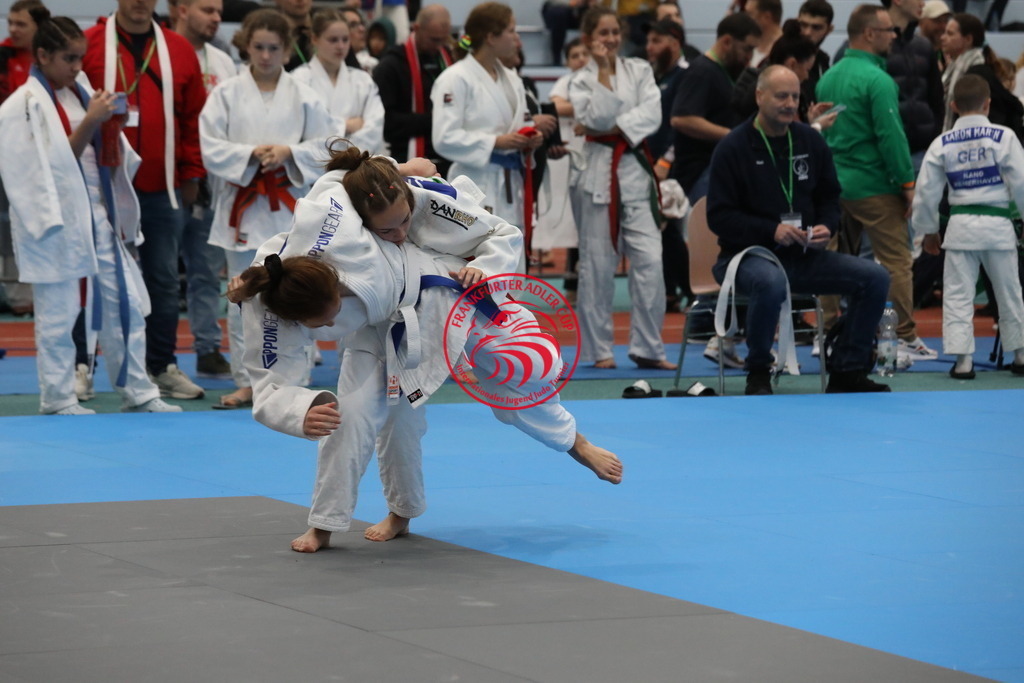 1J7A2724 | Fotos vom Adler Cup - Pictures from Adler Cup

Hier findet Ihr alle Eindrücke und großen Momente der Adler Cup Wochenenden. Here you will find all impressions and great moments of the Adler Cup weekends. - Realisiert mit Pictrs.com