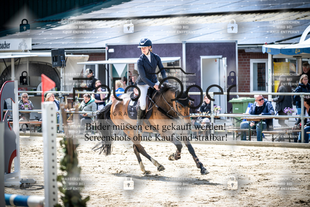 DOS_1230 | Reitturnier Lüdinghausen - Realisiert mit Pictrs.com