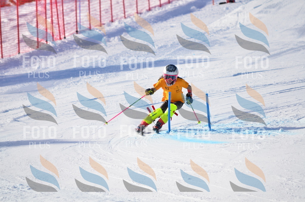 C5994 | holidayphoto