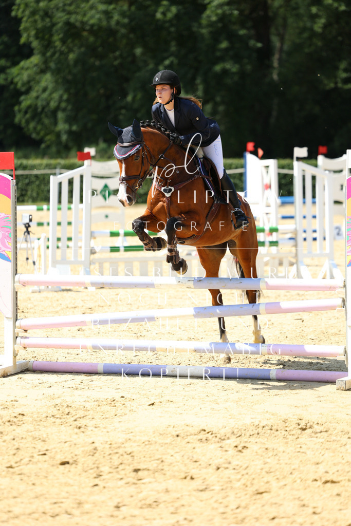 IMGM4604 | pl-fotografie