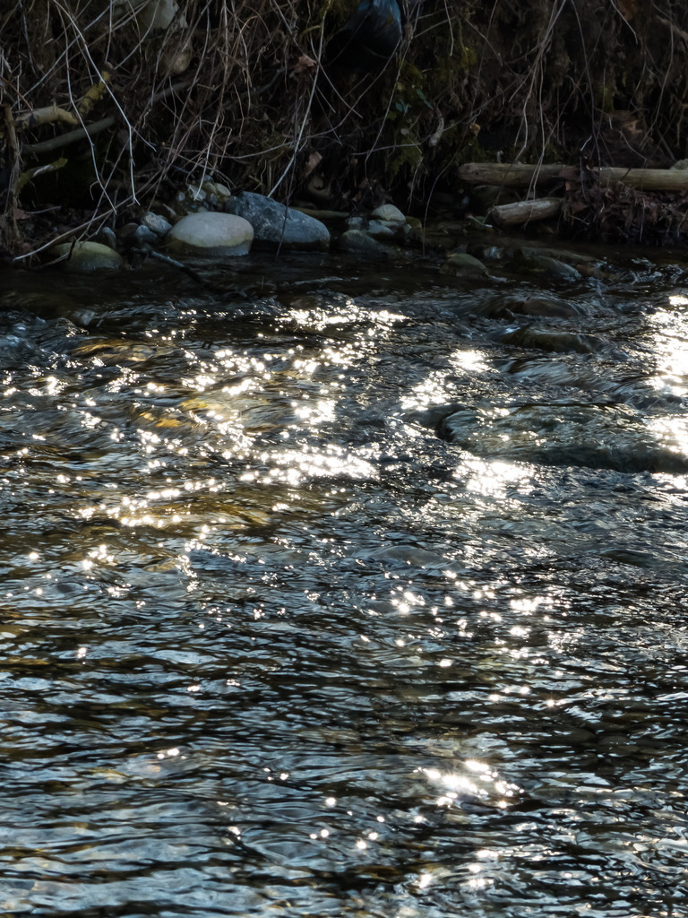 PSX_20230322_224236 | mtkfoto_ - Realisiert mit Pictrs.com