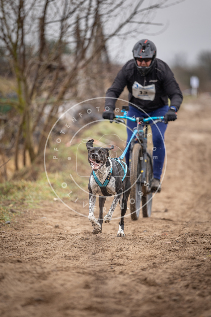 DV3A8951 | Hundefotografie, Tierfotograf, Pfotenfotografie, Fotoshooting Hund, Hunde Portrait, Hundesport, Hundeportraits, Heideshooting, Hunde, Sportfotograf, Hundefotograf, Turnierhundsport, THS,  - Realisiert mit Pictrs.com