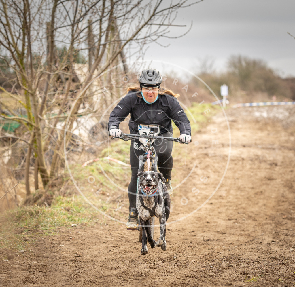 DV3A0742 | Hundefotografie, Tierfotograf, Pfotenfotografie, Fotoshooting Hund, Hunde Portrait, Hundesport, Hundeportraits, Heideshooting, Hunde, Sportfotograf, Hundefotograf, Turnierhundsport, THS,  - Realisiert mit Pictrs.com