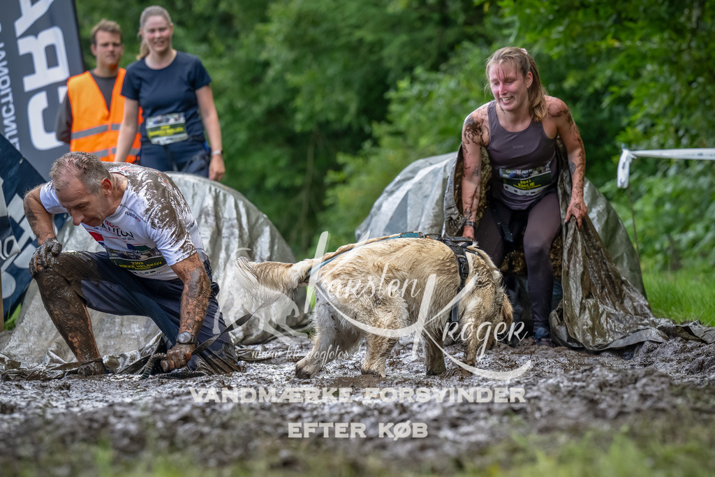 1142_ZZ93959-Bearbeitet | kk-dogfotos