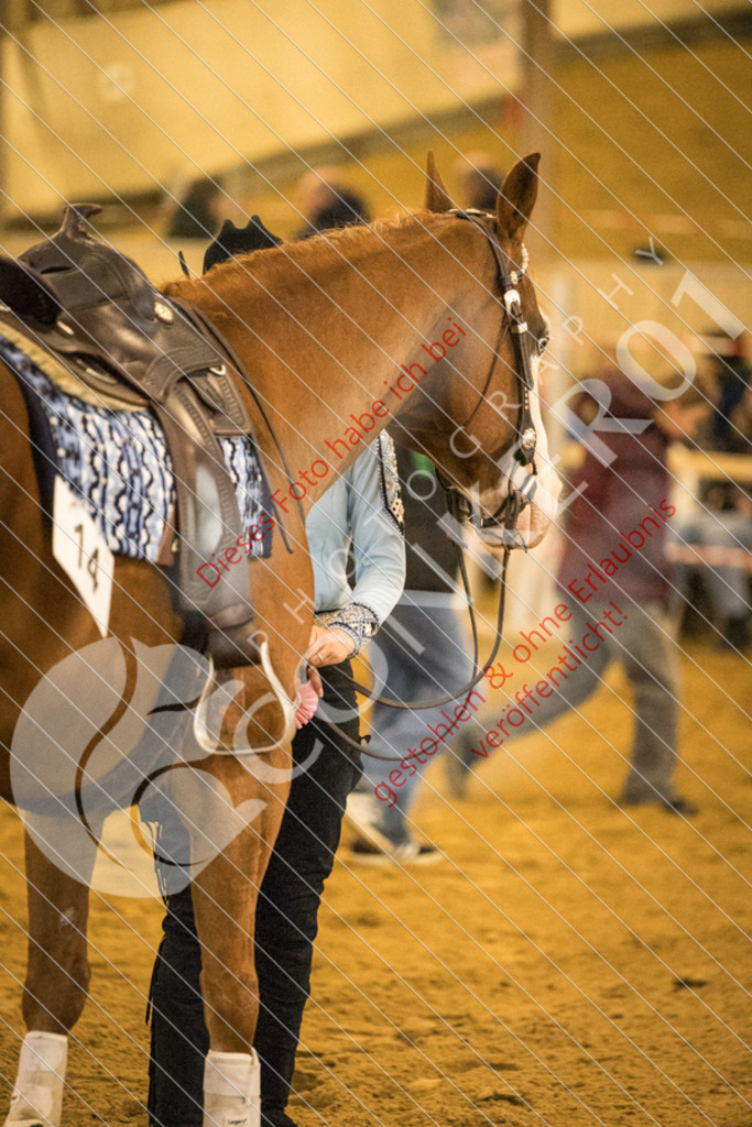 CON_7574 | Sport-, Event- und Tierfotos in Profiqualität. Einfach auswählen, bestellen und herunterladen. Dein Moment – perfekt festgehalten.