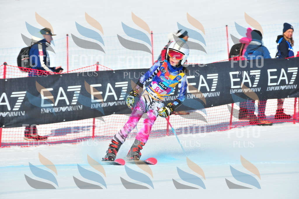 DSC_4460 | holidayphoto