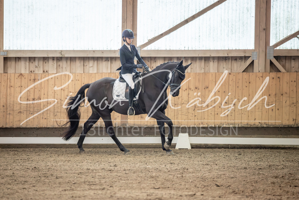 20251011-_3LI6415 | Tierfotografie Pferde, Hunde, Katzen, Haustiere.
Turnierfotografie Reitturniere, Reiten, Springreiten, Dressur in Hanau, dem Main-Kinzig-Kreis und dem Rhein-Main- Gebiet um Frankfurt