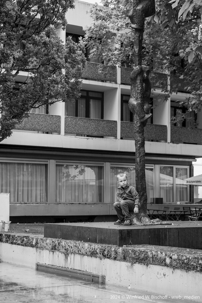 442_DSC_6893 | <Fotografie> <Video> <Film> <Winfried Bischoff> - Realisiert mit Pictrs.com