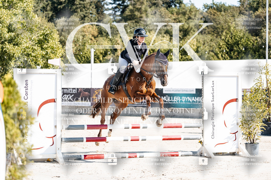 CK904945 | Turnierfotografie Pferdefotografie Trier Rheinland-Pfalz Pferdesport Reitsport Tierfotografie Sportfotografie Pferdevideo Pferdevideografie Equestrianvideography equestrianphotography  - Realisiert mit Pictrs.com