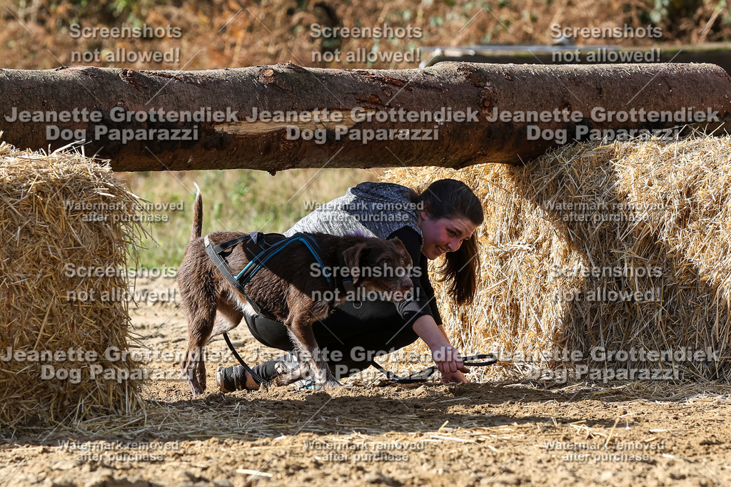 Dog Paparazzi - Strongdog 10-25-4903 | Dog Paparazzi Jeanette Grottendiek Fotografie & Videografie - Realisiert mit Pictrs.com