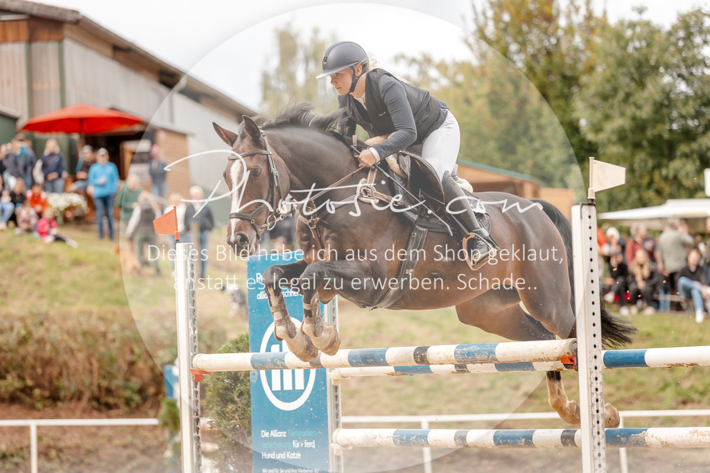 3I6A8081 | Stimmungsvolle Portraits und Reitsportfotografie im Ruhrgebiet und im Münsterland.

Pferdefotografie, Hundefotografie, Tierfotografie, Reportagen, Portraits von Tier und Mensch, Turnierfotografie in Bochum, Recklinghausen, Marl, Haltern am See, Dülmen.. - Realisiert mit Pictrs.com