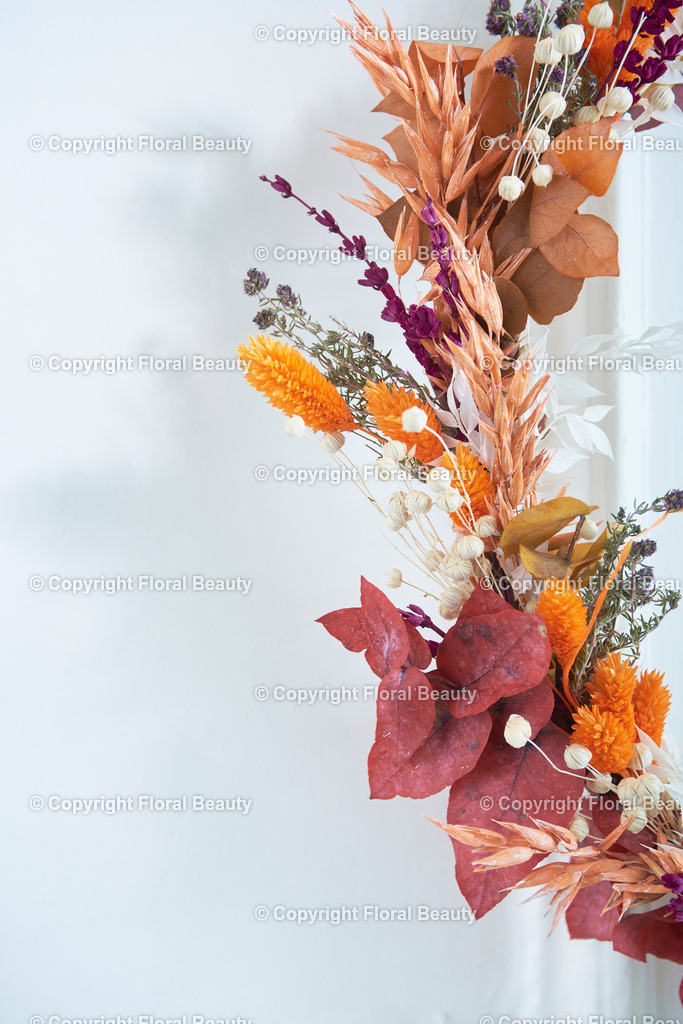 Trockenblumen_14 | Onlineshop für hochwertige Wandbilder. Bei uns findet ihr selbstgestaltete Blumenmotive. Das perfekte Geschenk, als Praxisdeko oder die eigene Wohnung. Alle künstlerischen Blumenfotos sind auf Leinwand, FineArtPrint, Kunstdruck und vielem mehr zu erwerben - Realized with Pictrs.com