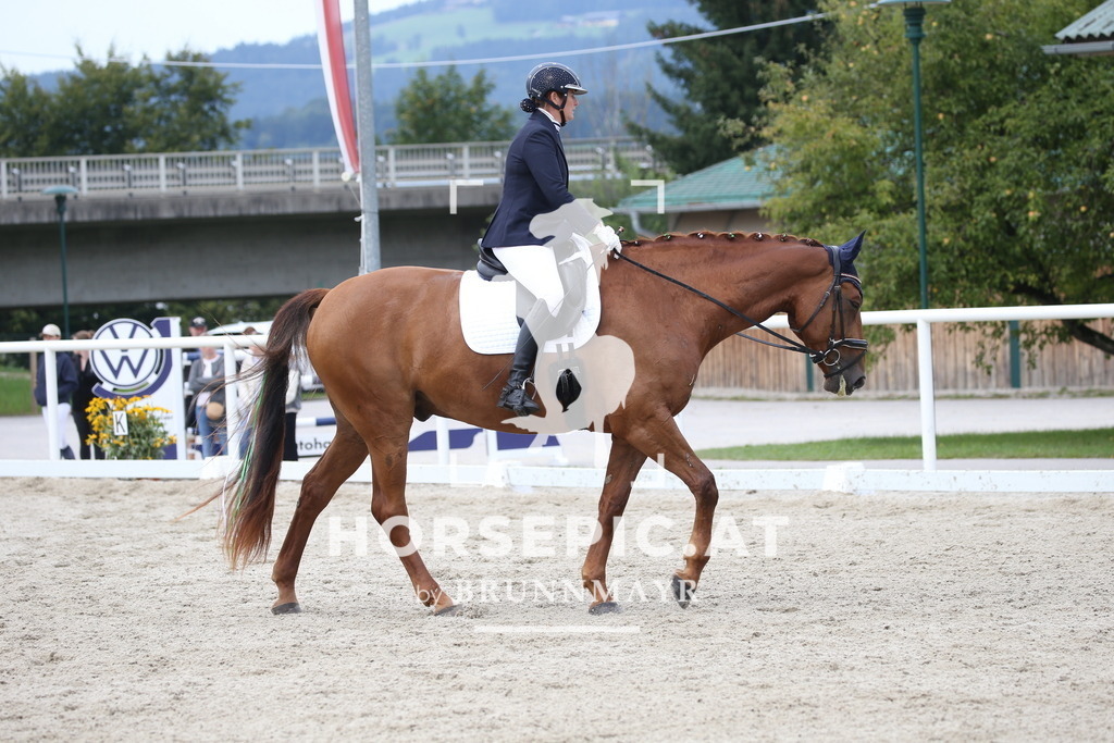 DL2Q3690 | Willkommen bei Brunnmayr - Design & Fotografie – Ihrem Spezialisten für Reitturniere und Pferdeveranstaltungen in Oberösterreich, Salzburg und Bayern! Seit über 17 Jahren sind wir leidenschaftlich dabei.