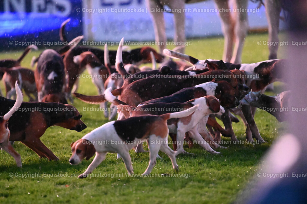 20240517_Lange-Pferdenacht_0505 | Foto: Thomas Hartig