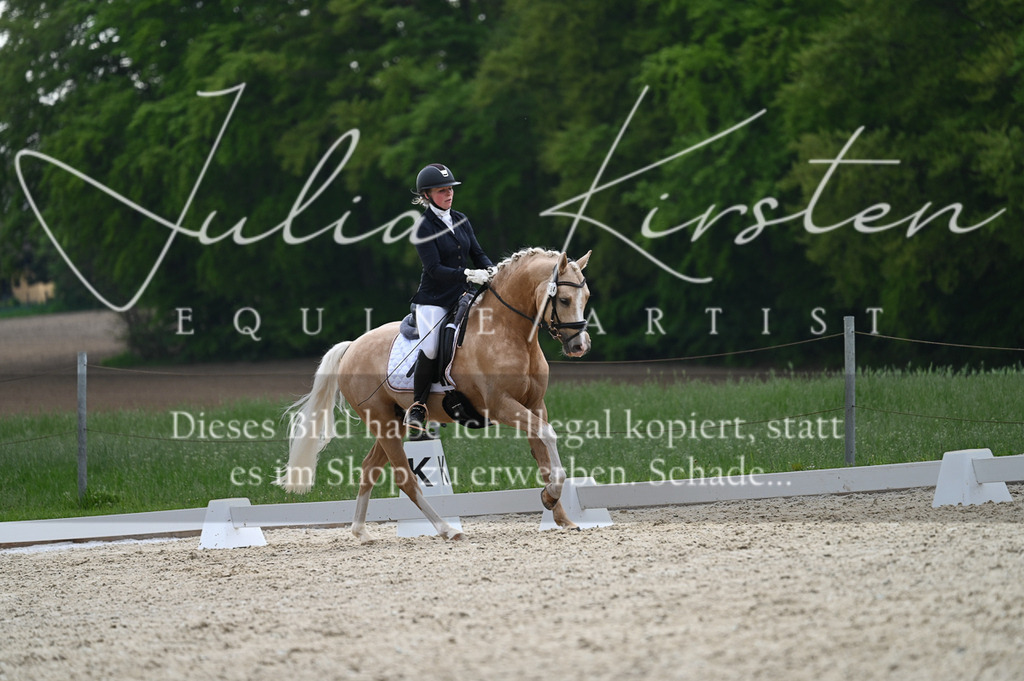 20230512_JK-Röhrsdorf-02-110 | Pferde- und Turnierfotografie in Westsachsen. Pferdeportraits, Auftragszeichnungen und intuitive Kunst.