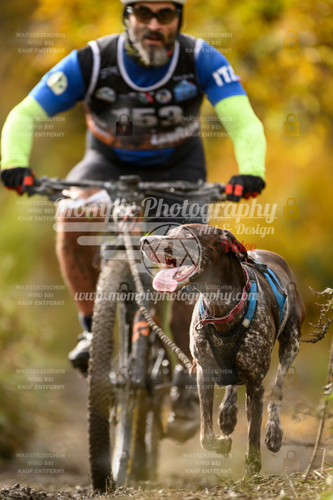 MompixPhotography_ICF_WC_2024_SA_Bike_-189 | PayLife