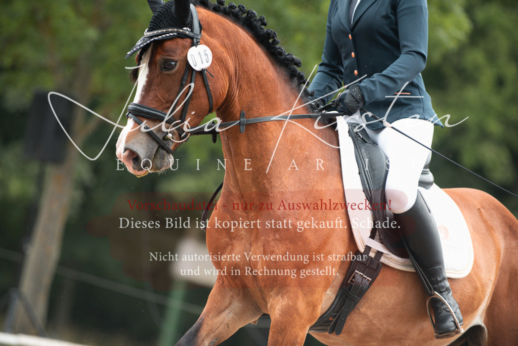 DSC_9830 | Pferde- und Turnierfotografie in Westsachsen. Pferdeportraits, Auftragszeichnungen und intuitive Kunst.