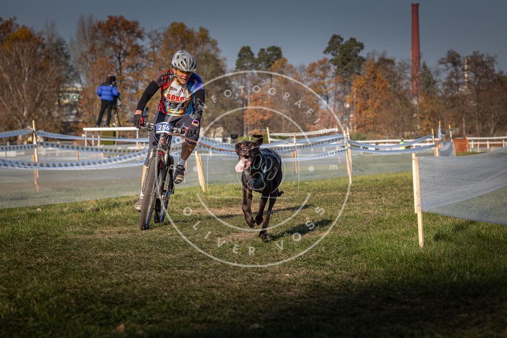 CaniXpix_0L8A6719 | Hundefotografie, Tierfotograf, Pfotenfotografie, Fotoshooting Hund, Hunde Portrait, Hundesport, Hundeportraits, Heideshooting, Hunde, Sportfotograf, Hundefotograf, Turnierhundsport, THS,  - Realisiert mit Pictrs.com