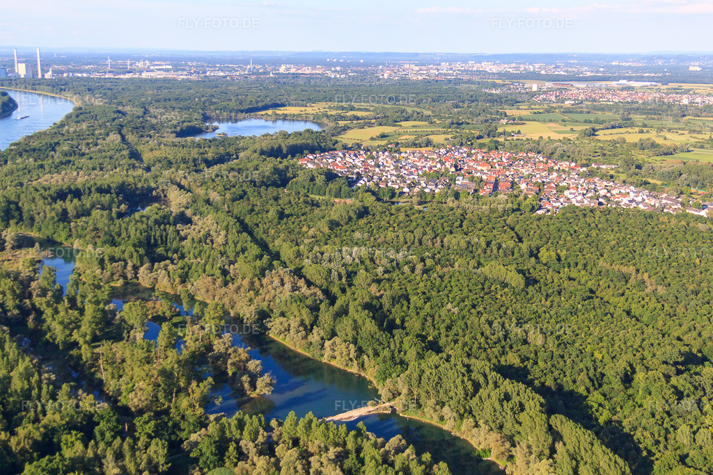 Luftbild: Dorfansicht hinterm Althrein aus Südwesten im Ortsteil Neuburgweier in Rheinstetten im Bundesland Baden-Württemberg in Deutschland. Foto: IMG_66543.jpg vom 05.06.2014 durch Werner Riehm/FLY-FOTO.de
