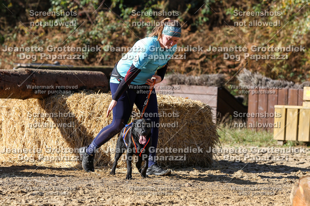 Dog Paparazzi - Strongdog 10-25-2923 | Dog Paparazzi Jeanette Grottendiek Fotografie & Videografie - Realisiert mit Pictrs.com