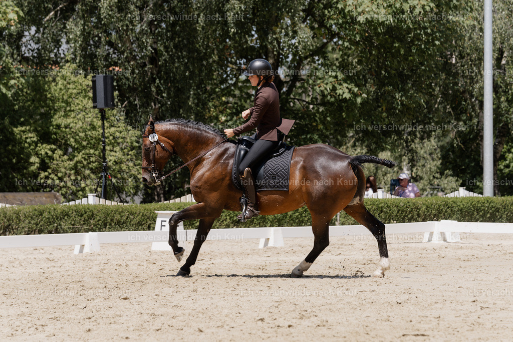 WS_DR_111_sinafilmart_IN02742 | working equitationturnier fotograf videograf stoibphotography marixx film working equitation deutschland reitsport turnierfotografie eventfotografie equestrian events