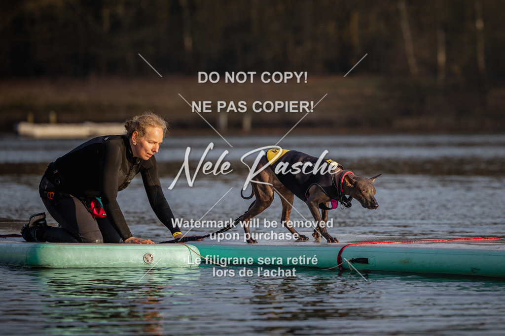 nelerasche_Hulsbeek_Sa1700-1730_191 | nelerasche