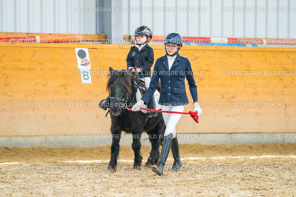 DSC00603 | Pferdegrafie