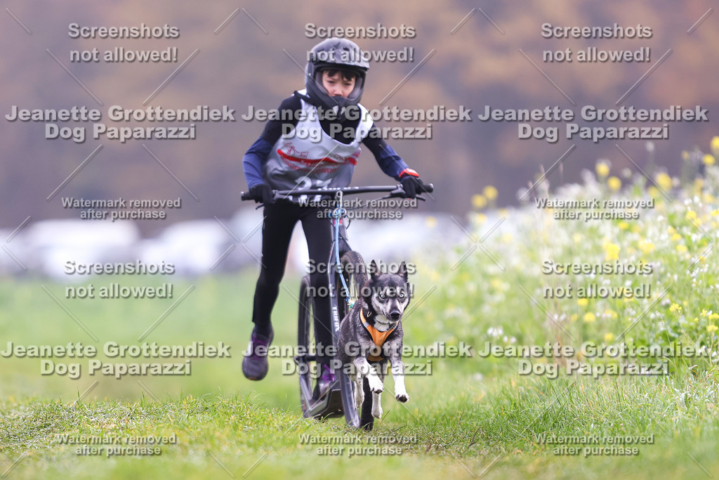 Dog Paparazzi - Visbeck 25 -321 | Dog Paparazzi Jeanette Grottendiek Fotografie & Videografie - Realisiert mit Pictrs.com