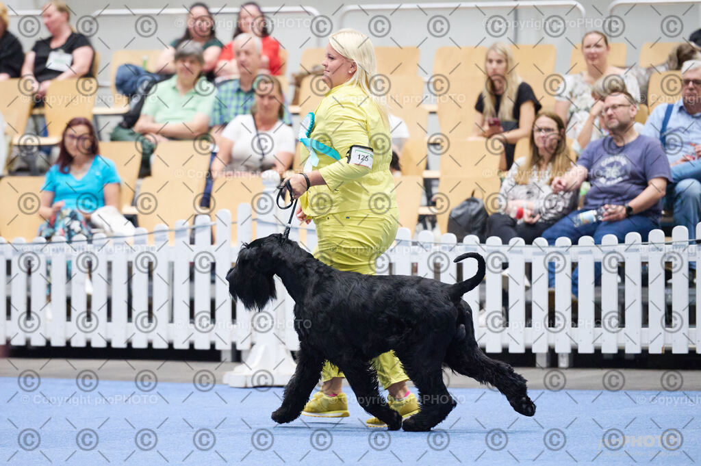 202406_ÖKV-IHA-Tulln24_DSC_2904 | proPHOTO - Realisiert mit Pictrs.com