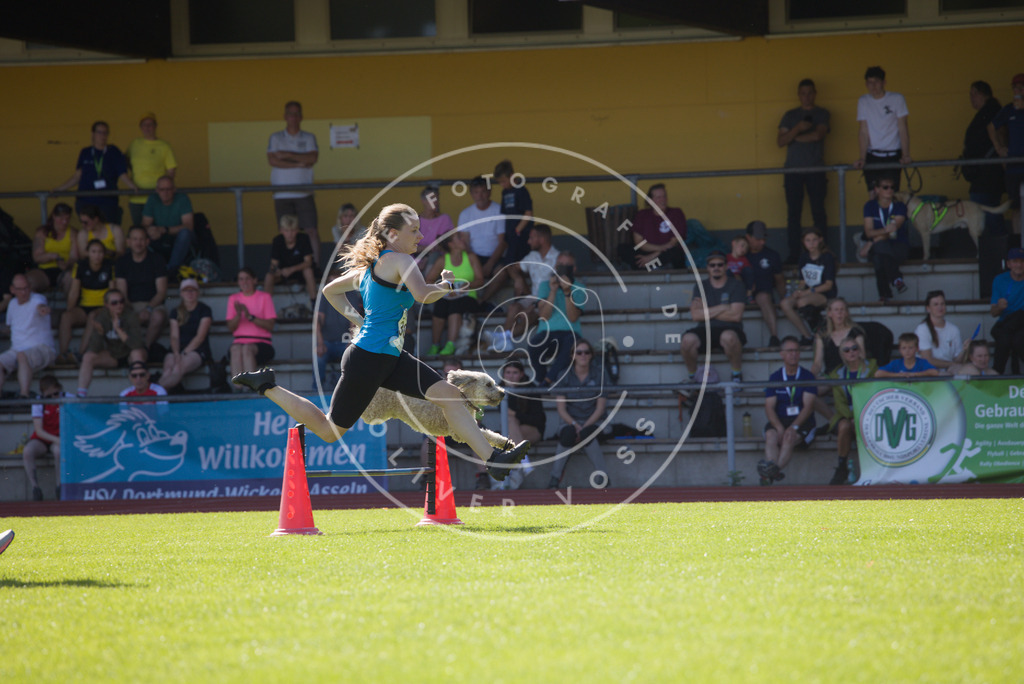 0L8A8542 | Hundefotografie, Tierfotograf, Pfotenfotografie, Fotoshooting Hund, Hunde Portrait, Hundesport, Hundeportraits, Heideshooting, Hunde, Sportfotograf, Hundefotograf, Turnierhundsport, THS,  - Realisiert mit Pictrs.com