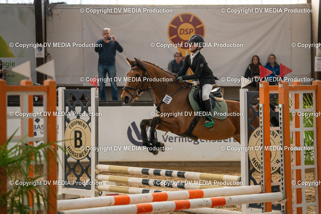 Kranichstein Tag 2-0855 | dv-media-shop - Realisiert mit Pictrs.com