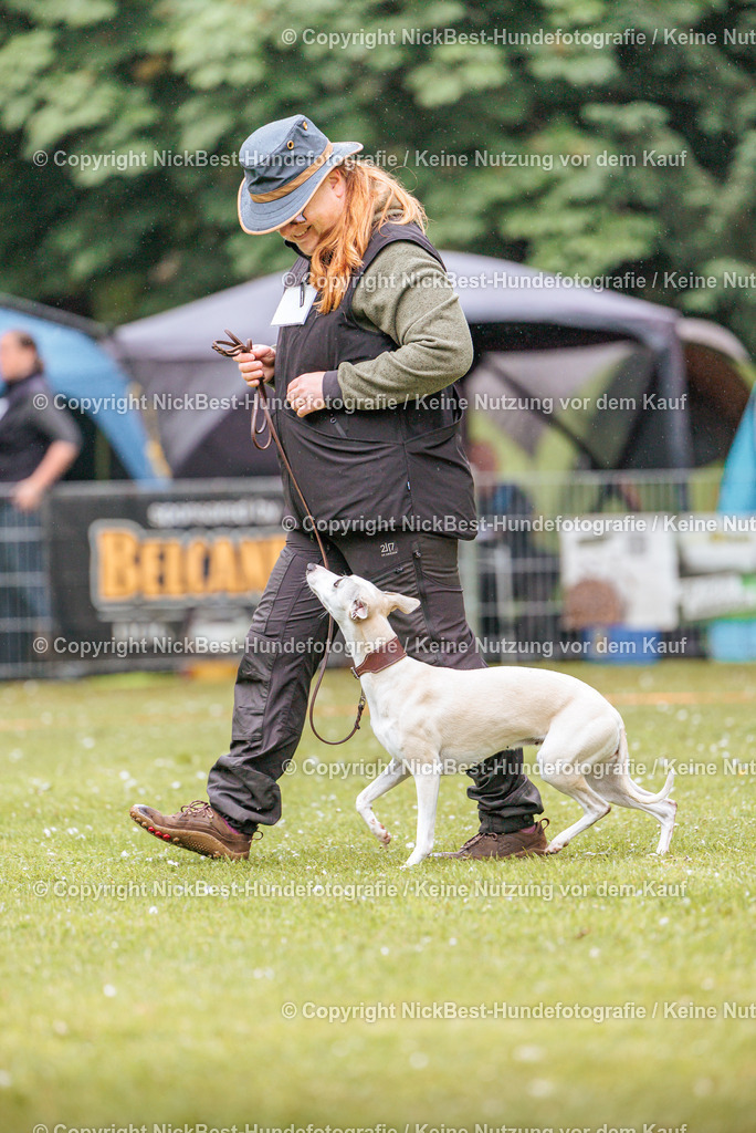RO-Blumenthal-2026-Nickbest-Hundefotografie-0176 | Dein Hund! Dein Moment! Deine Erinnerungen! Hundefotografie in Bremen Blumenthal. Ich fange die besonderen Momente deines Vierbeiners ein – ob Indoor mit Blitzanlage oder in der freien Natur. Sicher dir dein Moment und dein Termin für eure Erinnerungen.