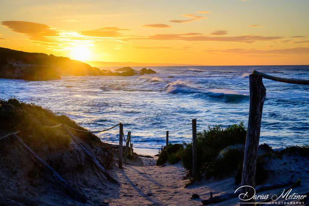 _DSC2415 | Fotografien, Fotos und Bilder aus Mainz, Frankfurt, Wiesbaden und anderen Orten auf der Welt - Fotografiert von Darius Metzner