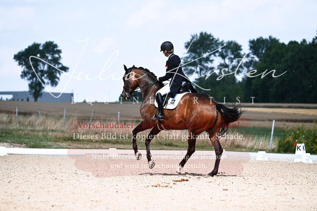 DSC_3109 | Pferde- und Turnierfotografie in Westsachsen. Pferdeportraits, Auftragszeichnungen und intuitive Kunst.