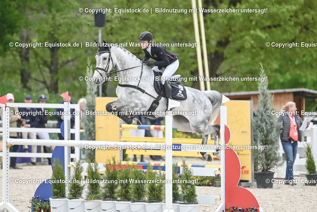 20230514_CCI4_Springen_0363 | equistock