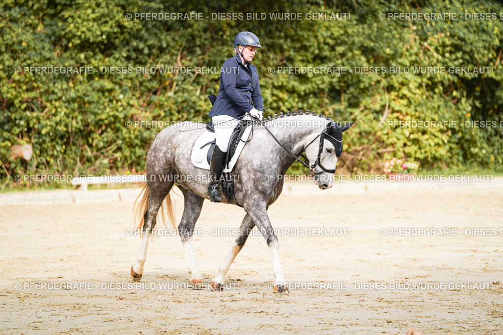 DSC01607 | Pferdegrafie