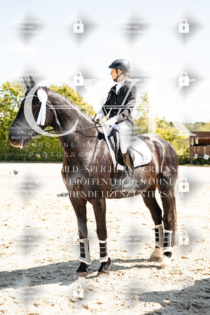 CK703537 | Turnierfotografie Pferdefotografie Trier Rheinland-Pfalz Pferdesport Reitsport Tierfotografie Sportfotografie Pferdevideo Pferdevideografie Equestrianvideography equestrianphotography  - Realisiert mit Pictrs.com